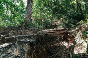 BIB: 
                            <button type="button" onclick="openModal(27800069)" class="btn btn-primary btn-sm float-right btn-popup" data-toggle="modal" data-target=".modal-high-quality">
                        <i class="fas fa-shopping-cart"></i> Add to Cart
                    </button>
                                            <button type="button" onclick="isThisMe(27800069, true)" class="btn btn-success btn-sm float-right btn-popup btn-isme hidden" data-toggle="tooltip" data-placement="bottom" title="นี่คือรูปของคุณใช่ไหม คลิกที่นี่เพื่อเอาเข้าอัลบั้ม">
                        <i class="fas fa-plus"></i> Add to album
                    </button>
                    <button type="button" onclick="isThisMe(27800069, false)" class="btn btn-warning btn-sm float-right btn-popup btn-isnotme hidden">
                        <i class="fas fa-ban"></i> Remove from album
                    </button>